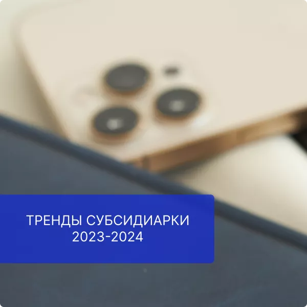 Тренды субсидиарки 2023-2024